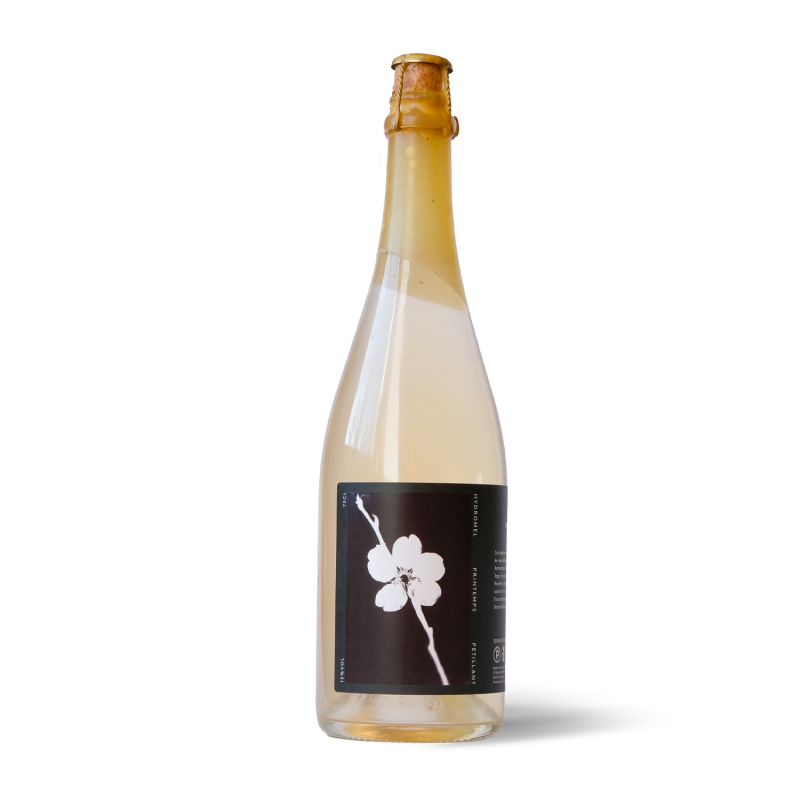 Hydromel BIO effervescent 75cl - Cuvée Printemps - 1