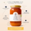 Forest Honey from the Pyrenees