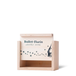 copy of Ballot-Flurin Cloth Bag