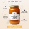 Chestnut Honey from the Pyrenees