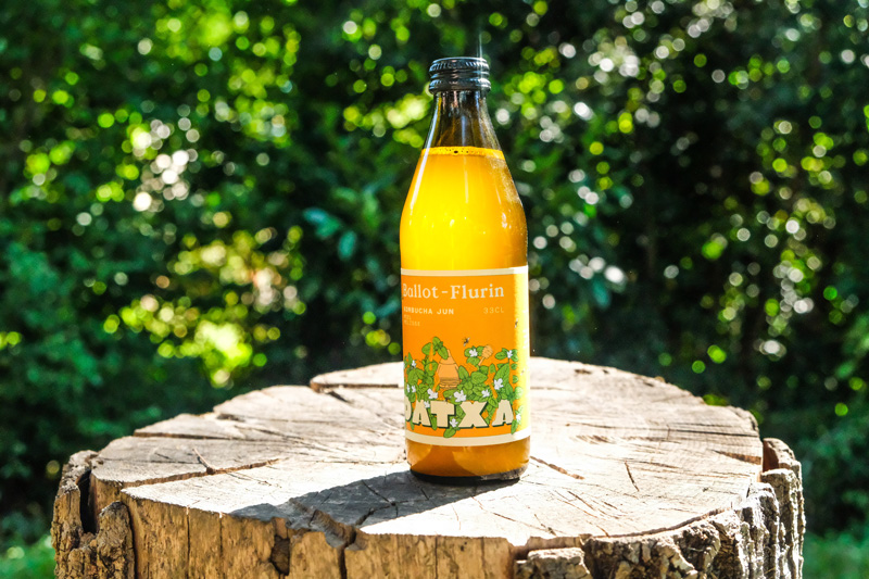 Jun Kombucha Ballot-Flurin x Datxa