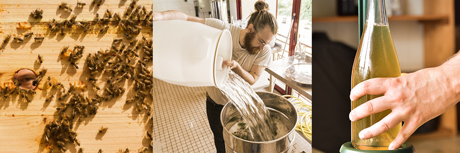 Hydromel : Les secrets d'une boisson perdue...
