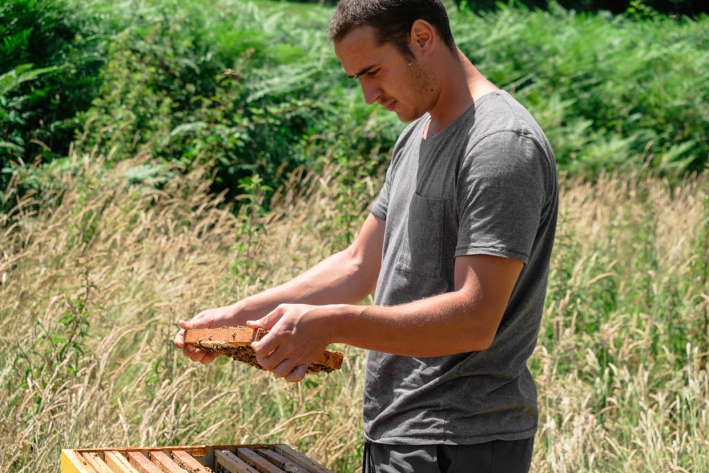 Des miels d'exception au cœur de l'Apiculture DOUCE