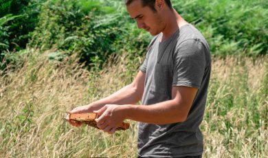 Des miels d'exception au cœur de l'Apiculture DOUCE