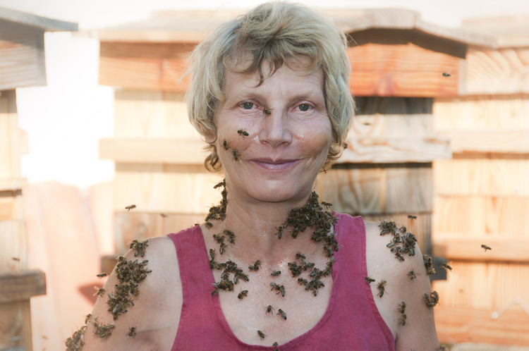 Le Yoga des Abeilles