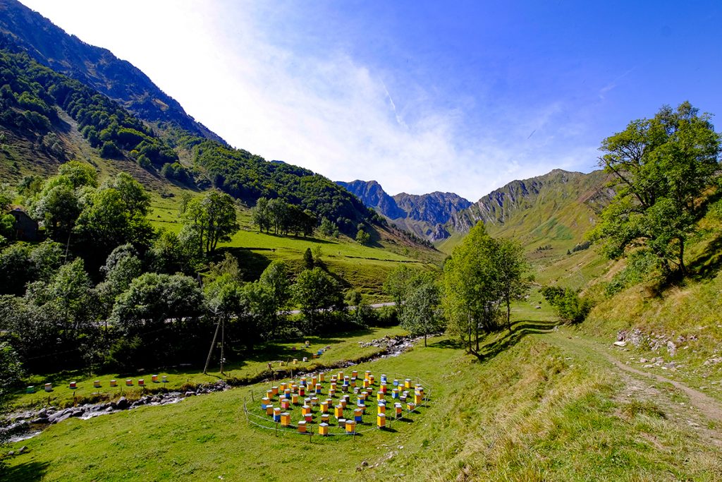Les plantes mellifères de la vallée du Cambasque