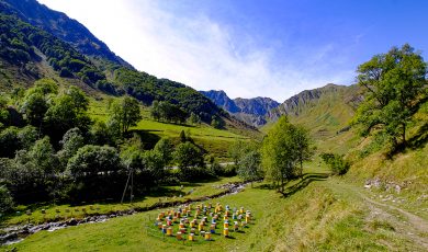 Les plantes mellifères de la vallée du Cambasque