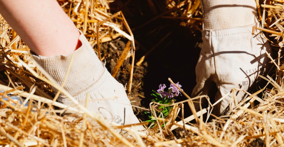 Le survivalisme : Nous demain