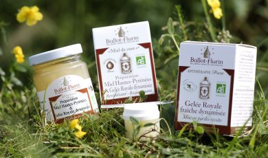 Soin beauté à la Gelée Royale à faire chez soi