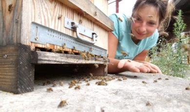 Le point Apiculture DOUCE® !