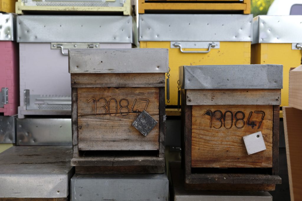 Néonicotinoïdes : Ballot-Flurin poursuit son engagement de toujours auprès des abeilles avec l’Apiculture DOUCE®