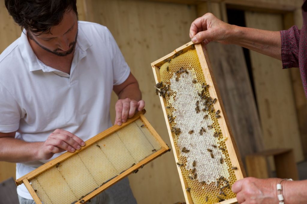 Apiculture DOUCE