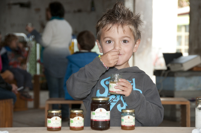 La semaine du gout, miel bio