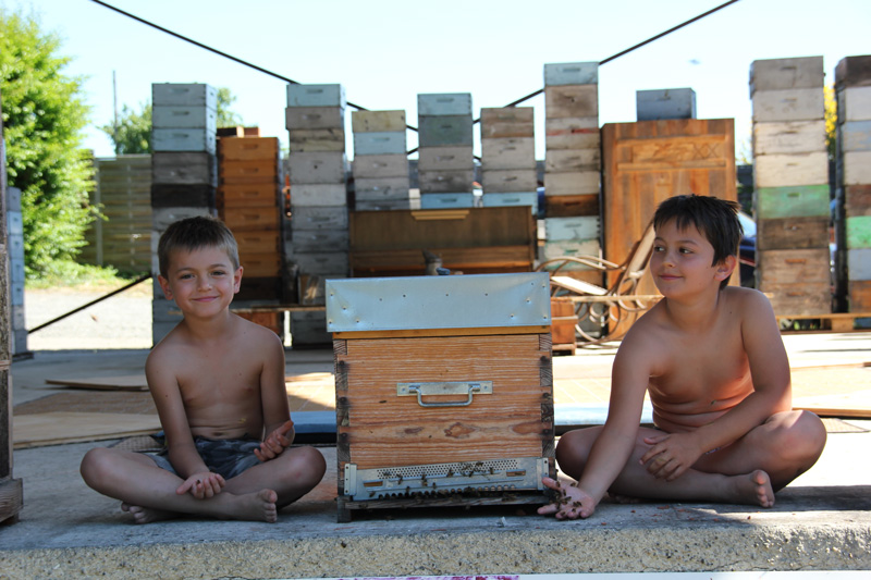 Yoga des Abeilles 2016