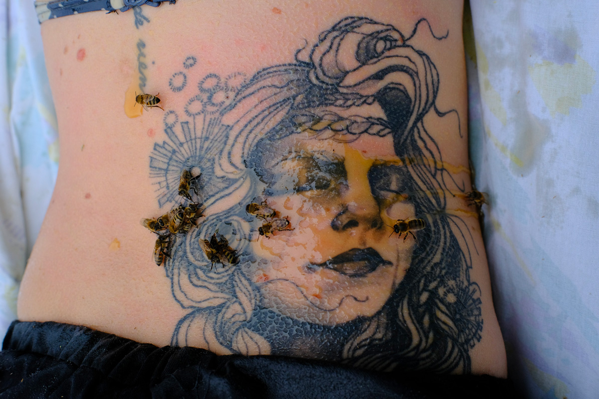 Tatouage, la propolis pour une réparation naturelle et efficace