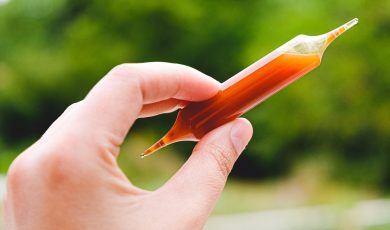 Nouvelles ampoules maisons de la Bee Factory
