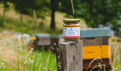 Frais, séché ou fermenté : quel pollen choisir ?