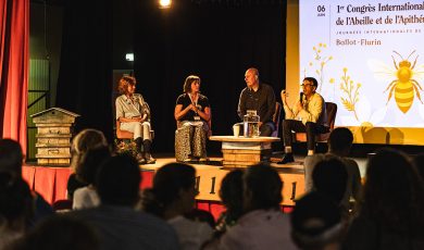 Les Journées Internationales de l’Abeille 2025 : Deux jours vibrants de transmission, de joie et de partage