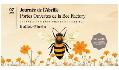 🐝 La Journée de l’Abeille 2025 : une 4ᵉ édition pour célébrer la vie