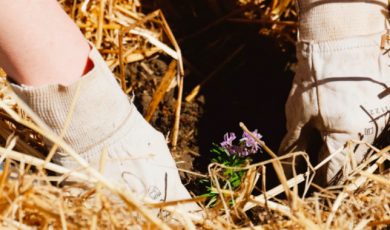 Le survivalisme : Nous demain