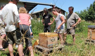 Apiculture DOUCE® et Yoga des Abeilles® au cœur du bien-être