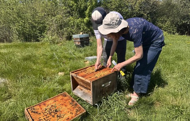 Apiculture Douce avec Catherine Flurin