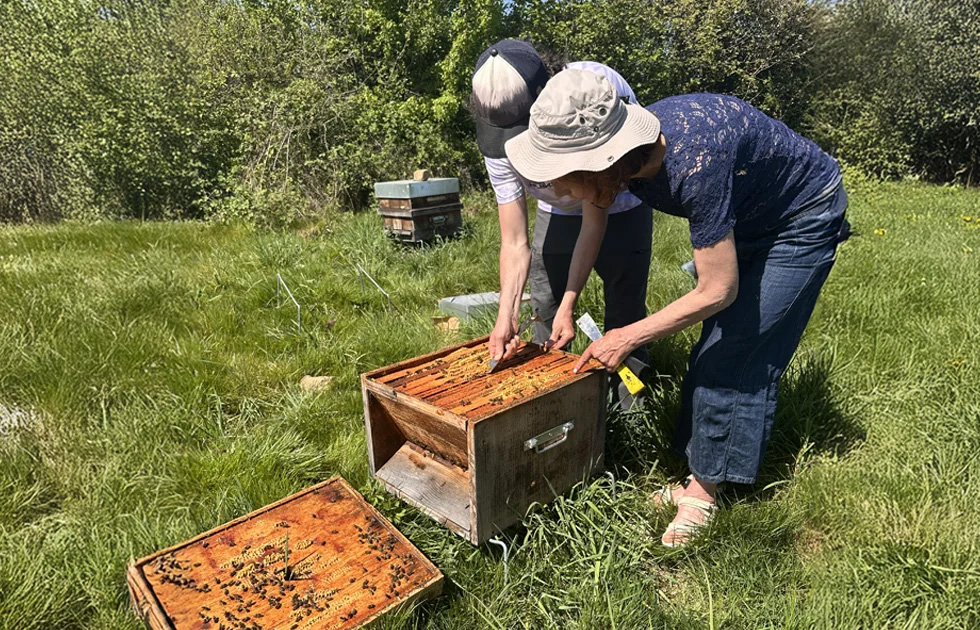 Apiculture Douce avec Catherine Flurin