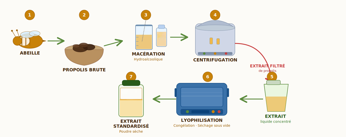 Processus de lyophilisation
