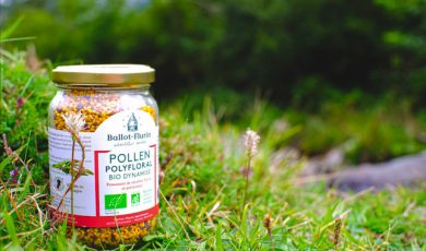 Pollen polyfloral : immunité et vitalité renforcées