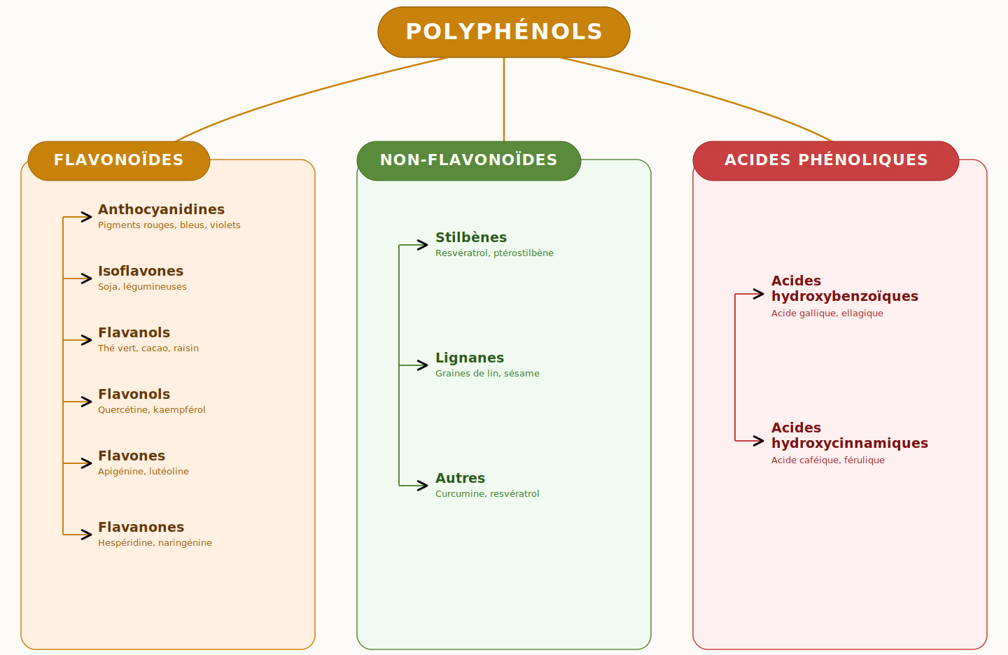 Catégories Polyphénols