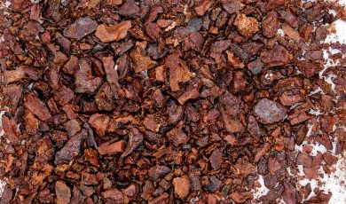 Vertus de la propolis française révélées par la recherche