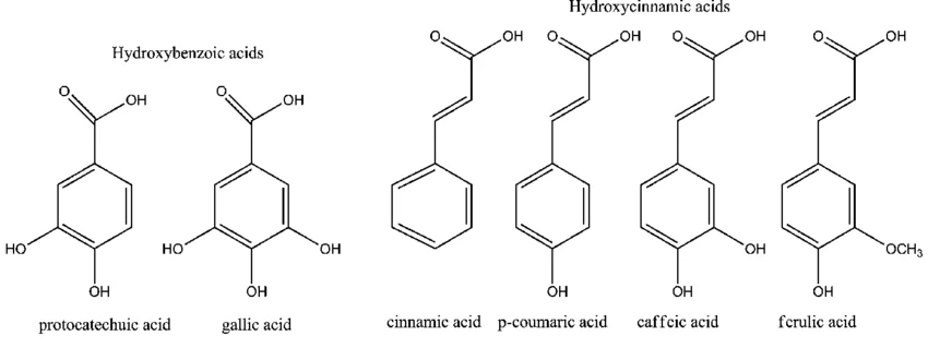 Structure Acides Phénoliques