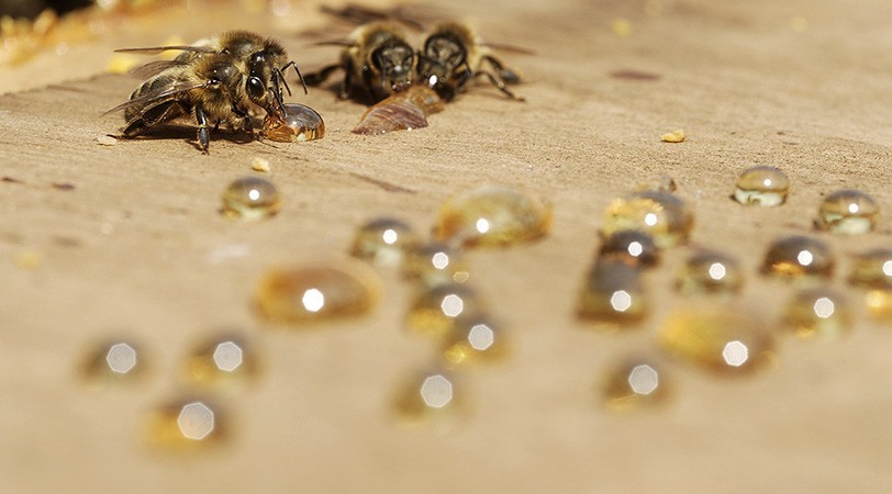 Nettoyer et démaquiller naturellement