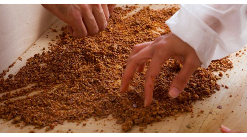 Propolis de Terroir Bio
