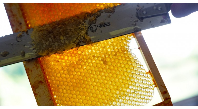 Miels Ballot Flurin - Miel bio d'exception issu de l'Apiculture DOUCE