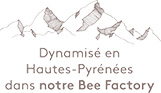 Dynamisation