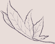 feuille