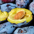 Huile de noyaux de prunes