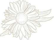 fleurs