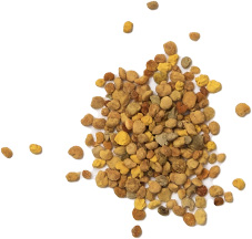 pollen