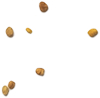 sel de salis