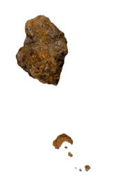 propolis brut
