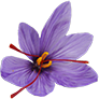 safran