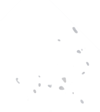 sel de salis