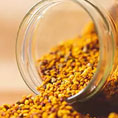 Pollen