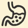 bénéfice Helps maintain good stomach health
